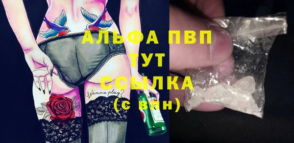 крисы Аркадак