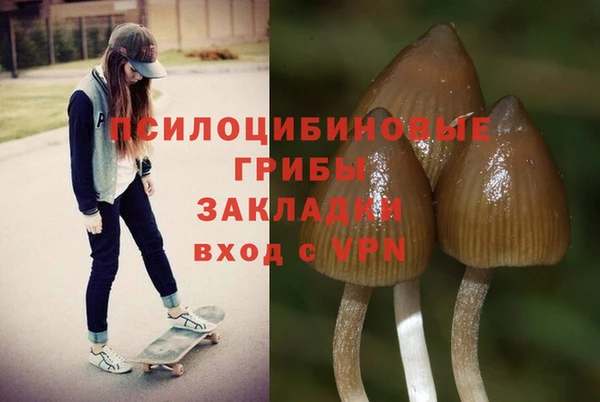 крисы Аркадак